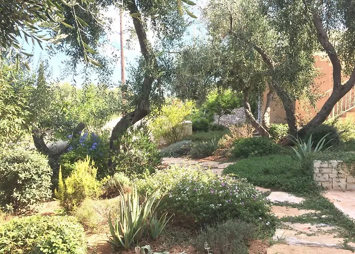 Dinos Willa Tranakatika